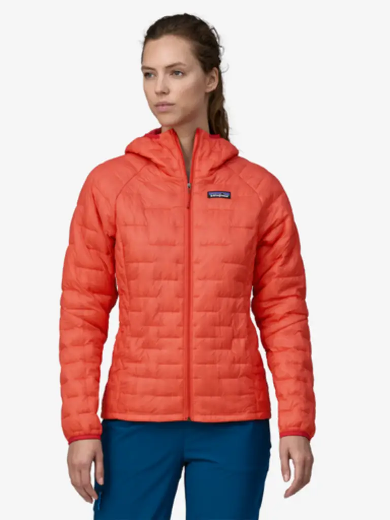 patagonia micro puff vs nano puff